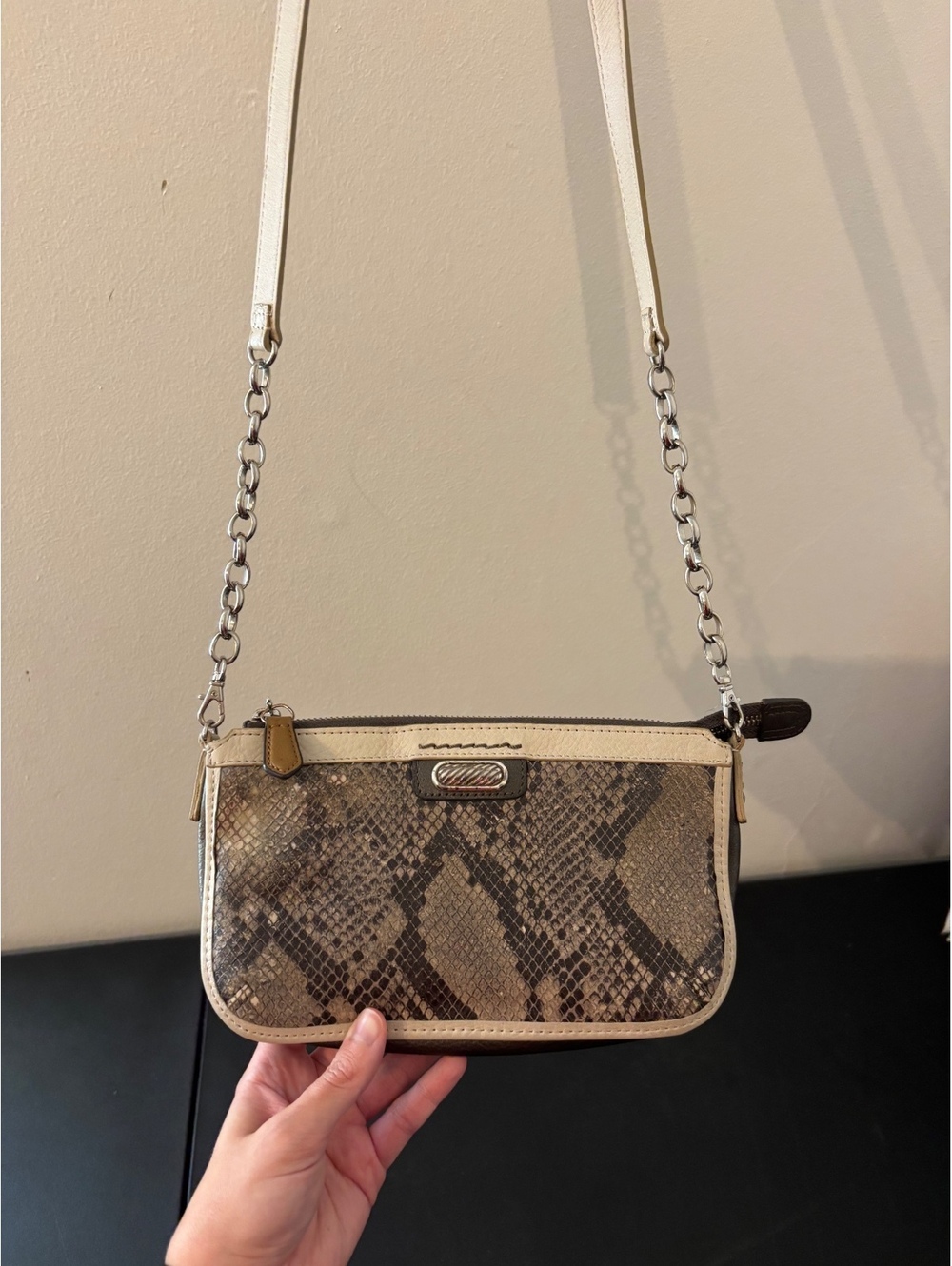 Brighton Crossbody Bag